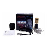 Micrófono Condensador Home Studio Bm-700 Pc - LhuaStore