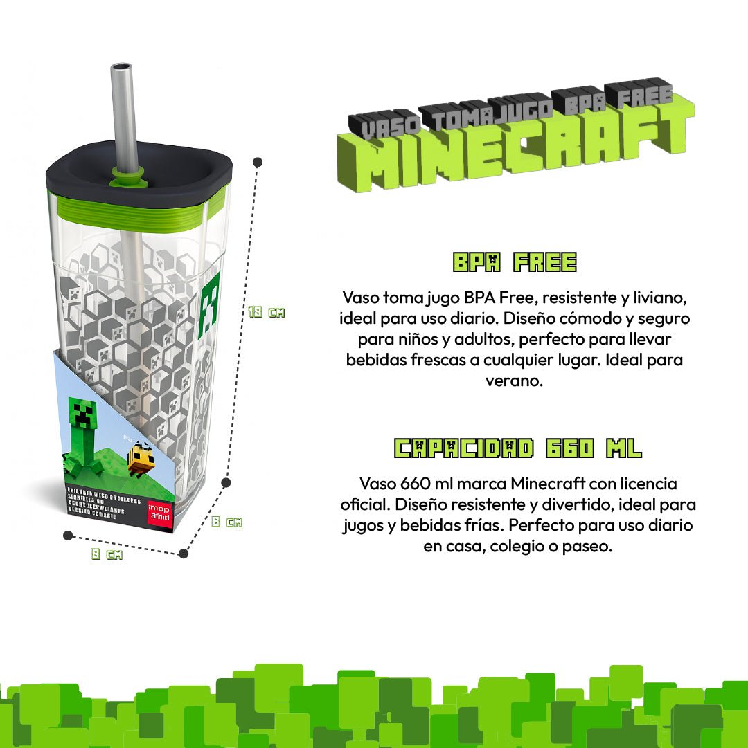 Vaso Minecraft 660ml Con Bombilla Acero Inoxidable BPA Free - Lhua Store