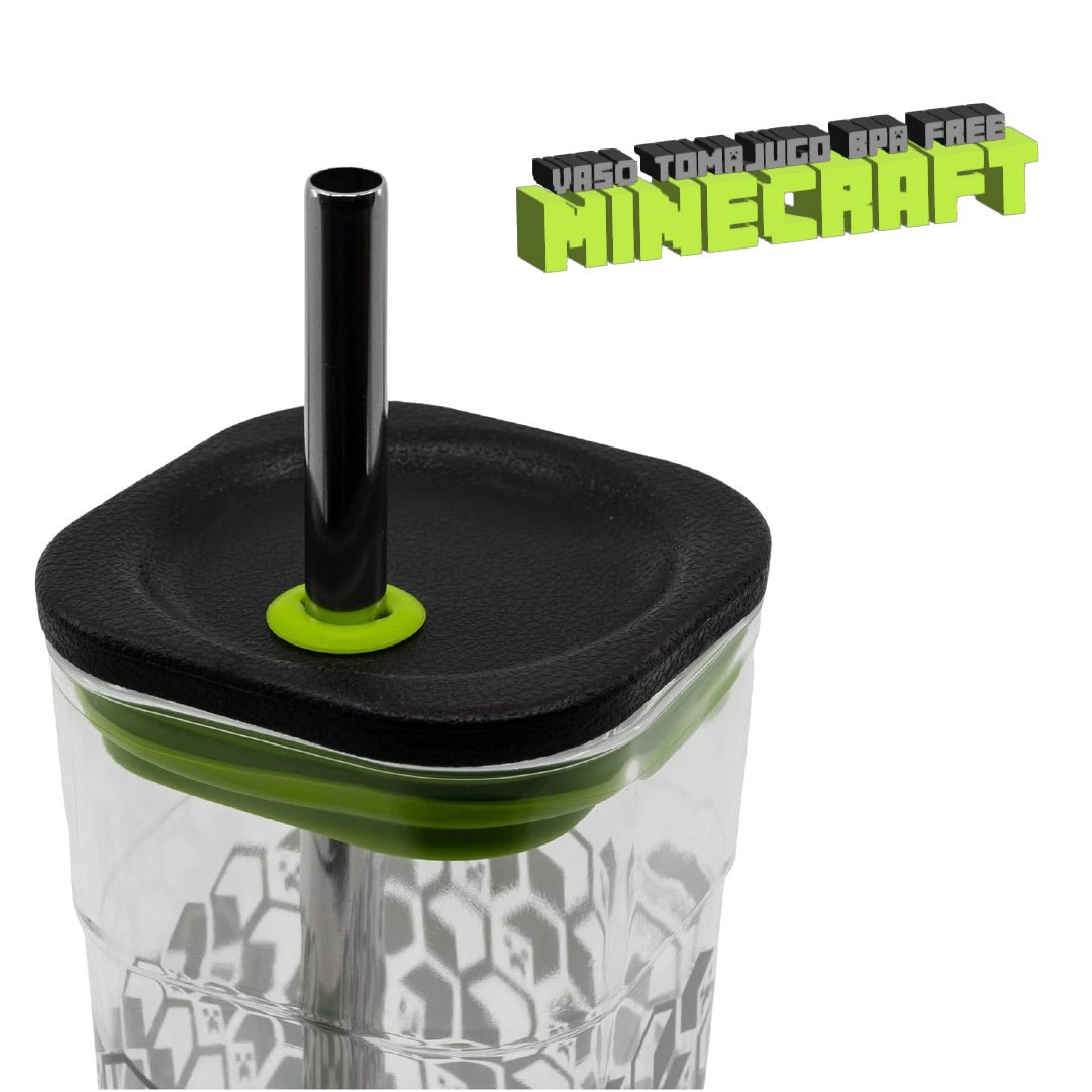 Vaso Minecraft 660ml Con Bombilla Acero Inoxidable BPA Free - Lhua Store